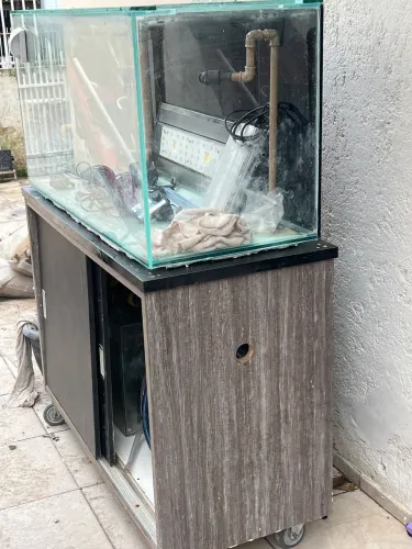 Aquário marinho completo 