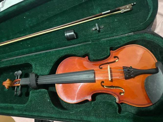 Violino