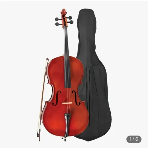 Violoncelo comprado há dois anos, usado poucas vezes. Cordas Mauro Calixto