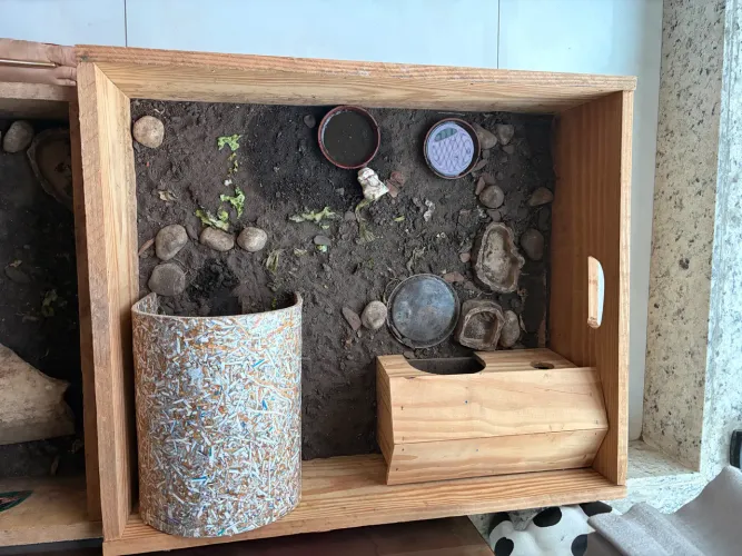 Caixa terrário para jabuti