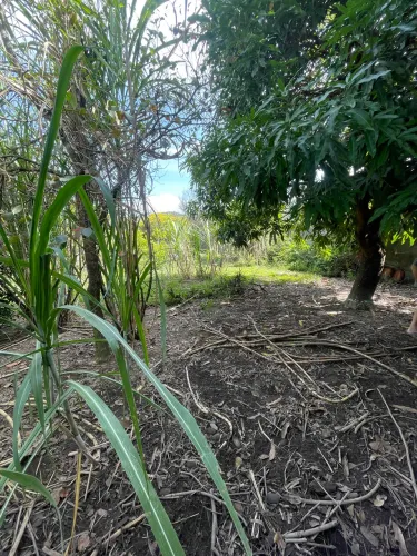    ? Lote 360m² em Esmeraldas | Próximo ao Thermas | Aceito Carro