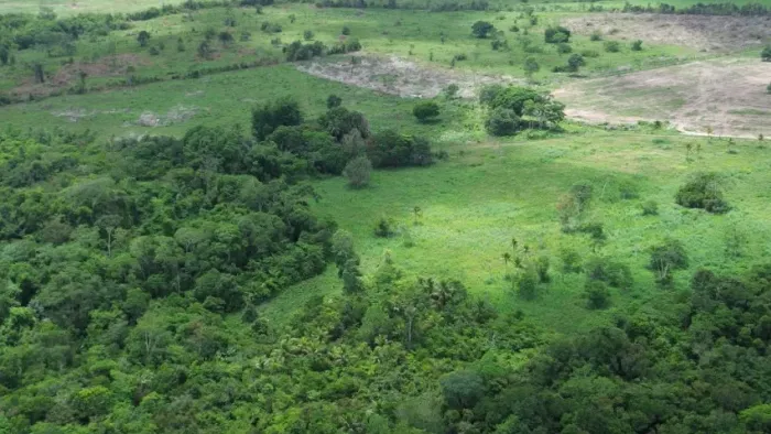 71 hectares com 70 abertos em pasto há 60 km de Castanhal documentada R$1.8 milhões