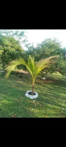 Vende _ se ou troca por casa 