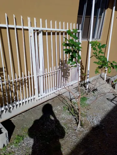 Portão de ferro