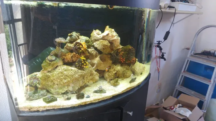 Aquario Vision marinho com sump