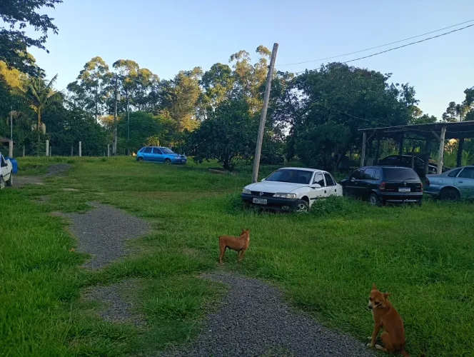 Vendo sítio na divisa de portão com Nova santa rita 