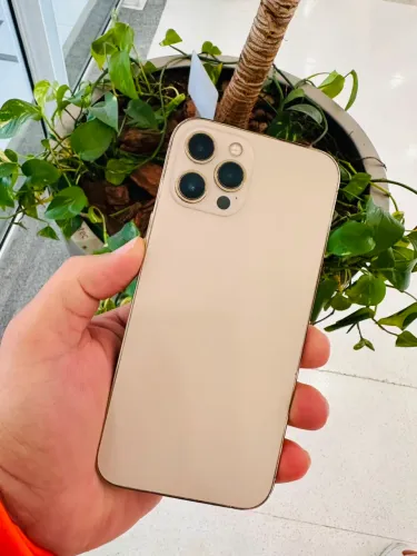 iPhone 12 Pro Max 