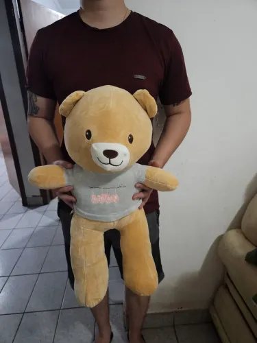 Pelúcia urso ted marrom