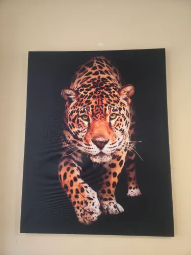 Quadro Decorativo Grande Leoa