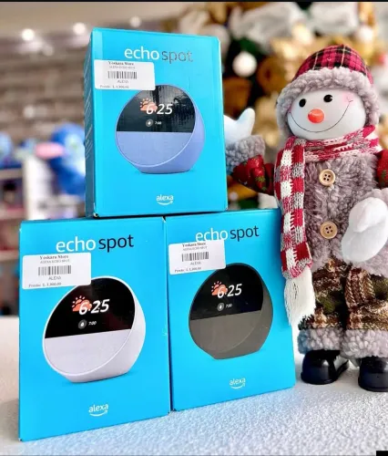 Alexa Echo Spot