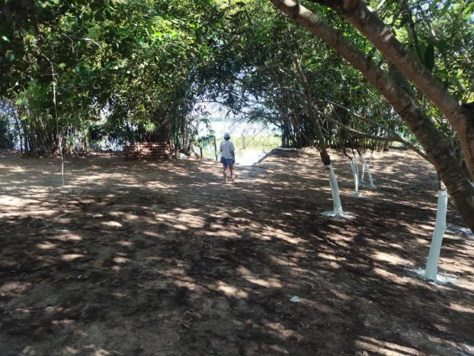 Rancho na ilha de Caseara em frente a balsa