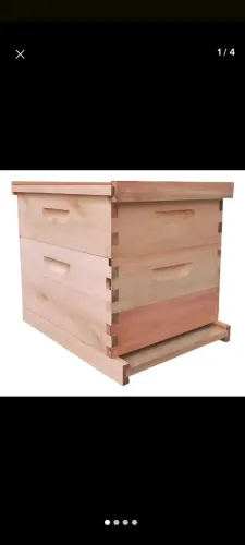 Caixas de abelhas com ferrão e sem ferrão