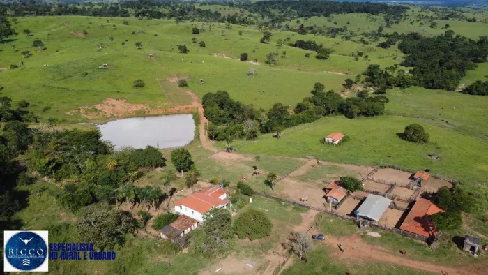 FAZENDA À VENDA EM IVOLÂNDIA | 93 ALQUEIRES | 100% FORMADA | SOJA + BACURI