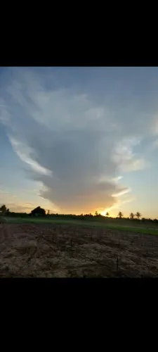 VENDO TERRENO DE 5 TAREFAS NO POVOADO JUERANA EM LAGARTO-SE