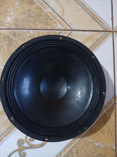 Alto-falante 10 Polegadas 