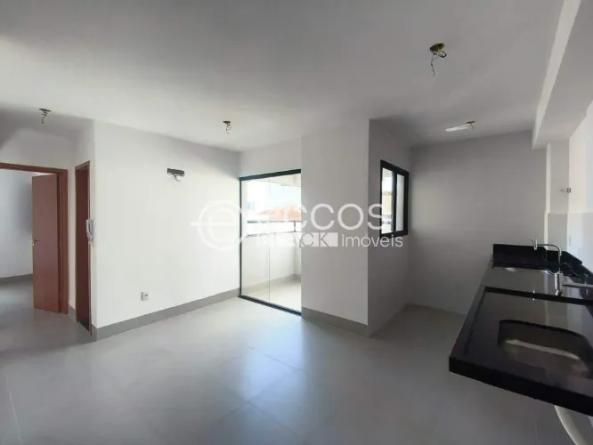 Apartamento para aluguel, 2 quartos, 1 suíte, 1 vaga, Lídice - Uberlândia/MG