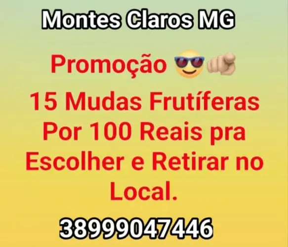 15 Mudas frutíferas por 100 reais