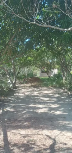 Sítio no povoado Fortaleza município de altos a 15 minutos de altos. OBS:ACEITO TROCAS