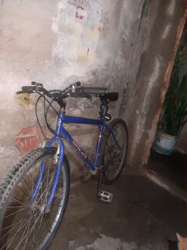 Bike bacini