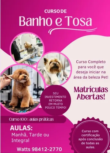 Curso de banho e tosa londrina