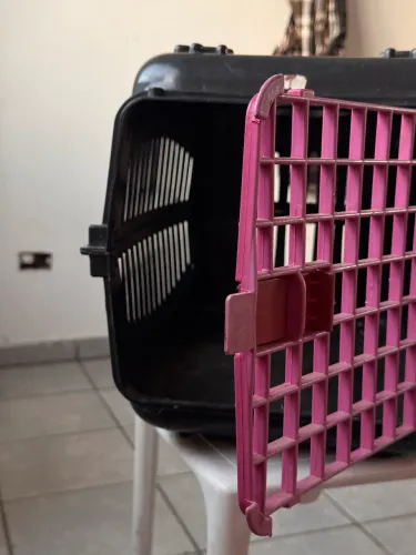 Caixa de Transporte Cachorro ou Gato - Conservada 
