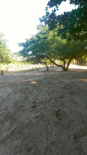 VENDO TERRENO EM CAMBOAS - PARAIPABA/CE