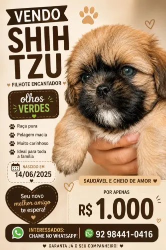 Cachorro