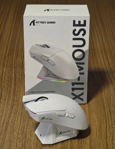 Mouse