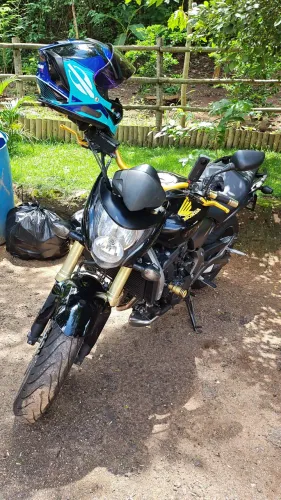 Hornet 2009/2010