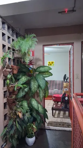 Vendo Apartamento 2 quartos | Garagem Coberta + Portão Eletrônico | Doc OK