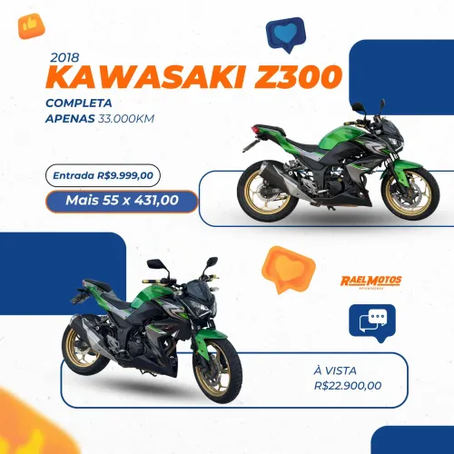 Kawasaki z300 2018