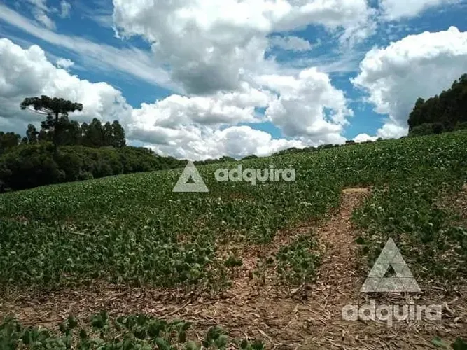 Chácara à venda 17545M², Centro, Palmeira - PR