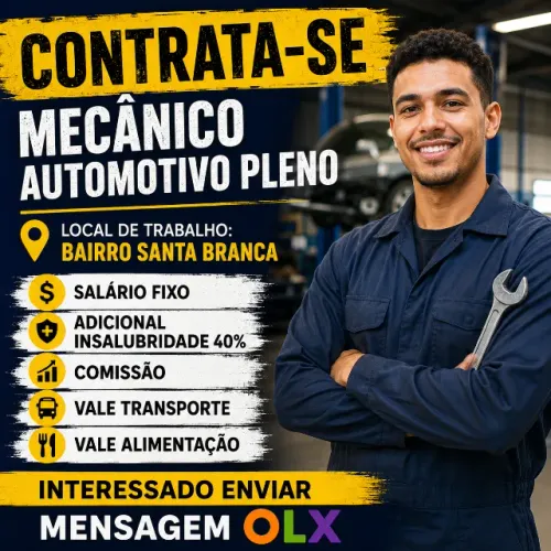 Mecânico Automotivo Pleno - Linha FLEX e Diesel leve