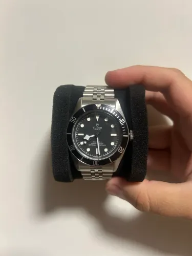 Tudor Black bay