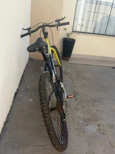 Bicicleta