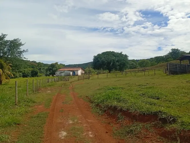 Fazenda à Venda 60 alqueires Município de Faina | GO