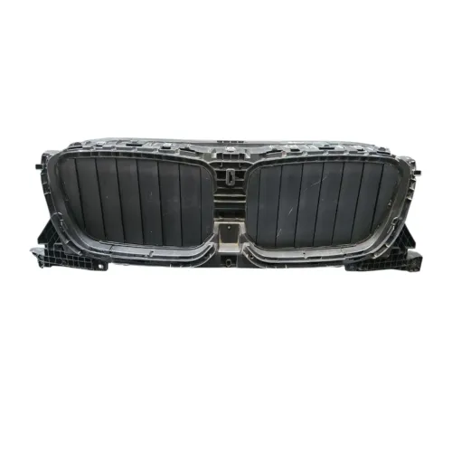 Grade Central Interna Bmw X3 G01 2020