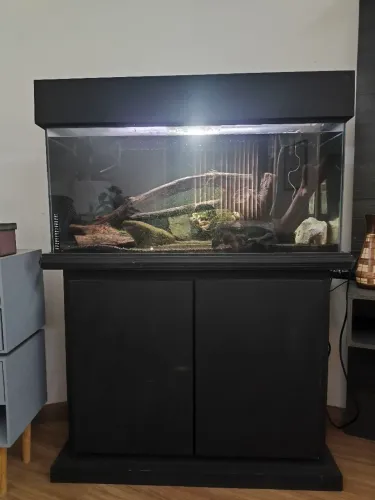 Aquário 200 Litros completo com móvel