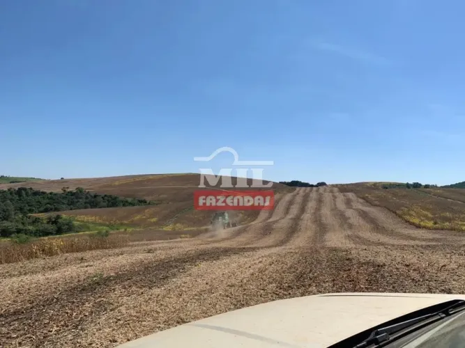 Fazenda (234 Hectares) Guarapuava - PR