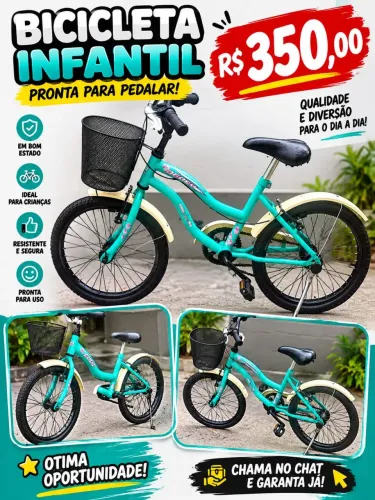 Bicicleta Aro 17
