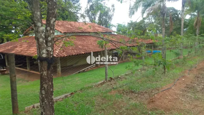 Chácara disponível para venda no bairro Recreio Lago Azul em Uberlândia-MG