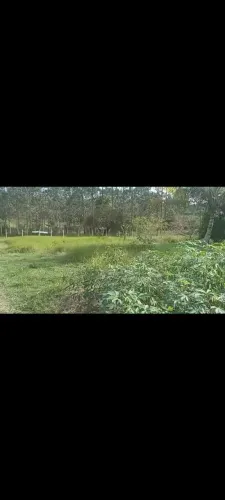 Vendo sítio - itaporanga d'Ajuda - povoado paruí