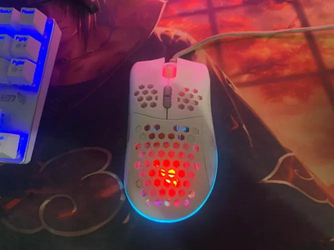 Mouse fallen 