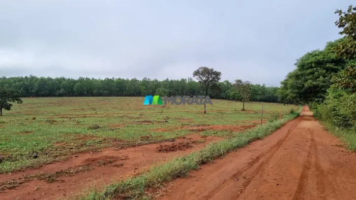 FAZENDA À VENDA - 105 HECTARES - BOM DESPACHO (MG)