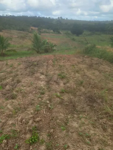 Terreno em salgado