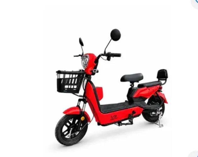 MOTO ELÉTRICA 