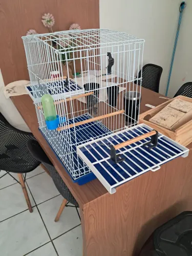 Gaiola para calopsita