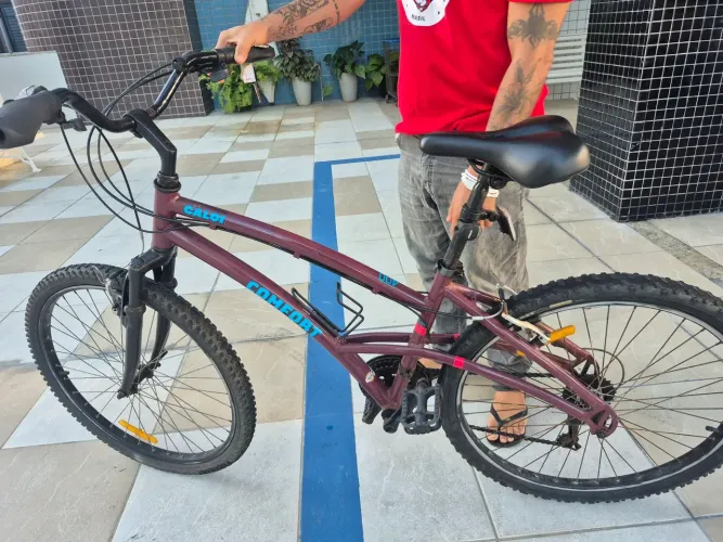 Bicicleta