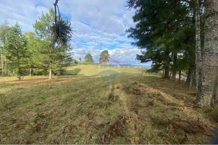 Terreno Ideal no Jardim das Camélias, Lages-SC