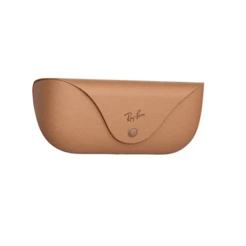 Rayban Meta wayfarer
